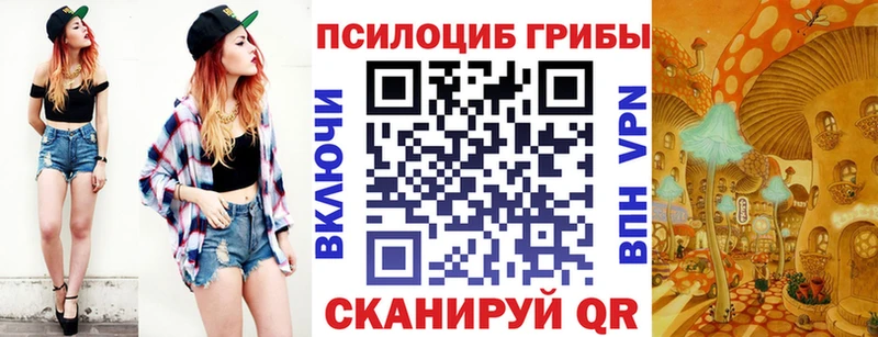 Купить закладки  Краснообск  Псилоцибиновые грибы мицелий 